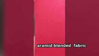 Protex-C Flame Retardant Anti-static Fabric