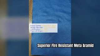Material resistente ao fogo do elevado desempenho da tela de Meta Aramid